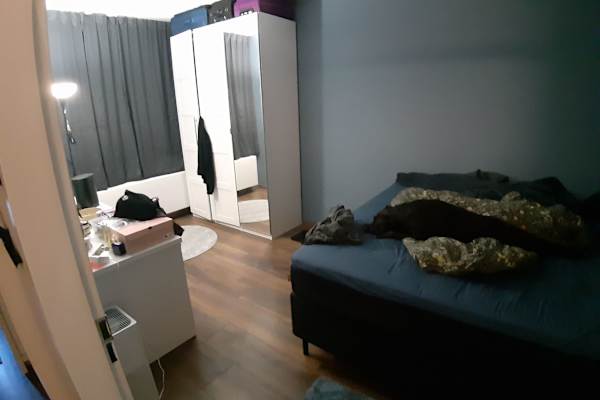 House sit in Groningen, Netherlands