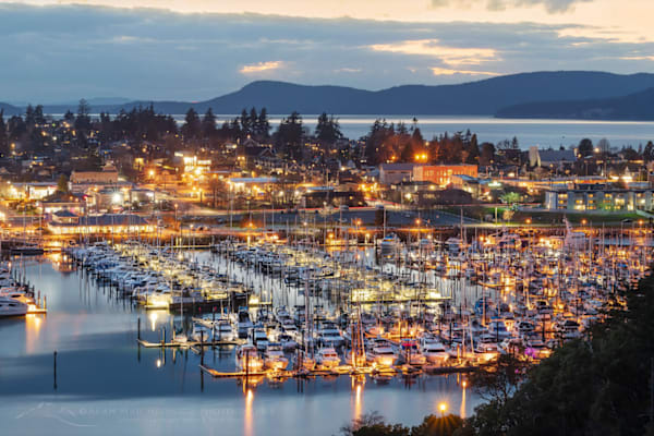 House sit in Anacortes, WA, US