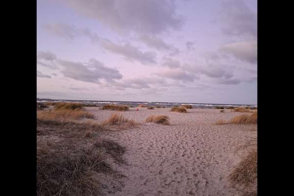 House sit in Kiel, Germany