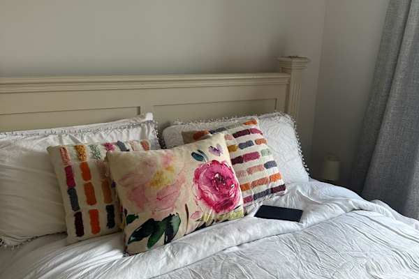 House sit in Aveton Gifford, United Kingdom