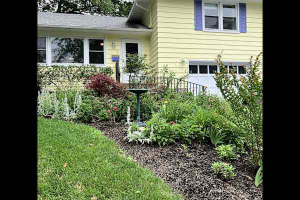 House sit in West Orange, NJ, US