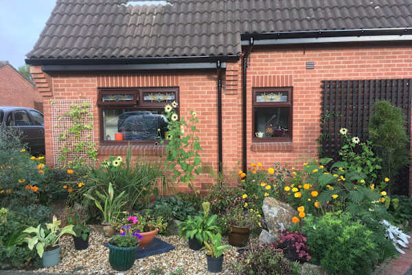 House sit in Heanor, United Kingdom