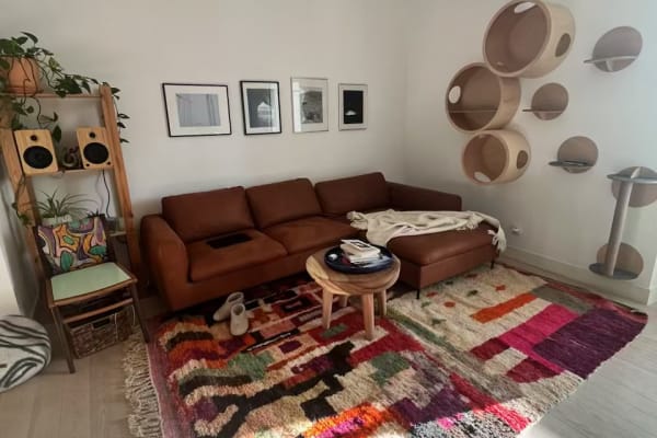 House sit in Lisbon, Portugal