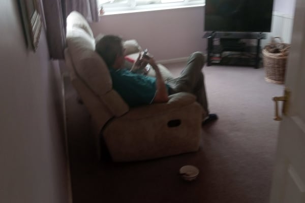 House sit in Old Basing, United Kingdom