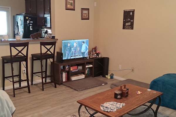 House sit in Missouri City, TX, US