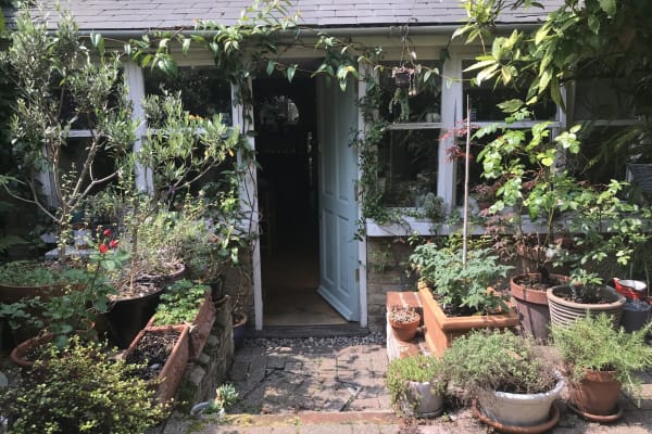 House sit in Tufnell Park, United Kingdom