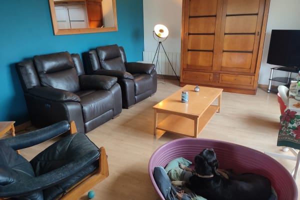 House sit in Morlaix, France