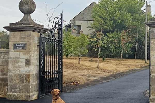 House sit in Henstridge, United Kingdom