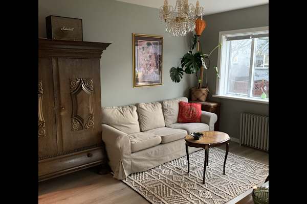 House sit in Reykjavík, Iceland