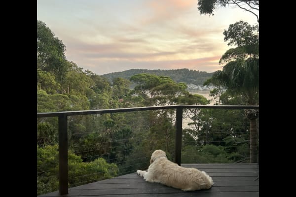 House sit in Avalon, NSW, Australia