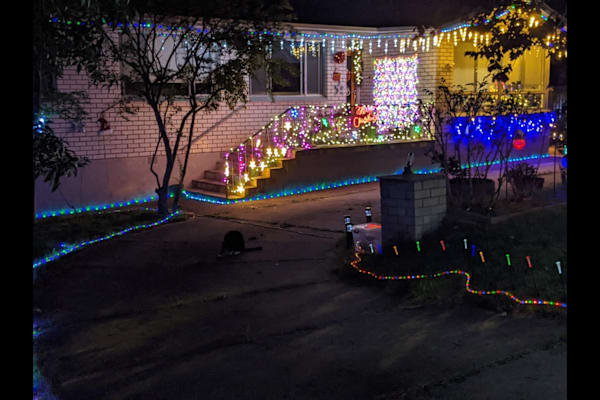 House sit in Canberra, Australian Capital Territory, Australia