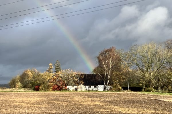 House sit in Lackalänga, Sweden