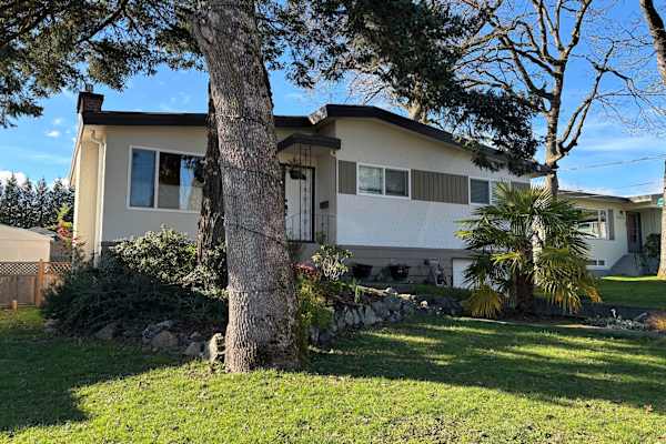 House sit in Victoria, BC, Canada