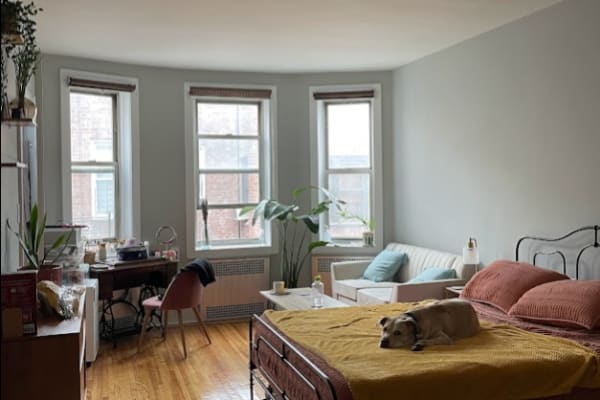 House sit in Brooklyn, NY, US