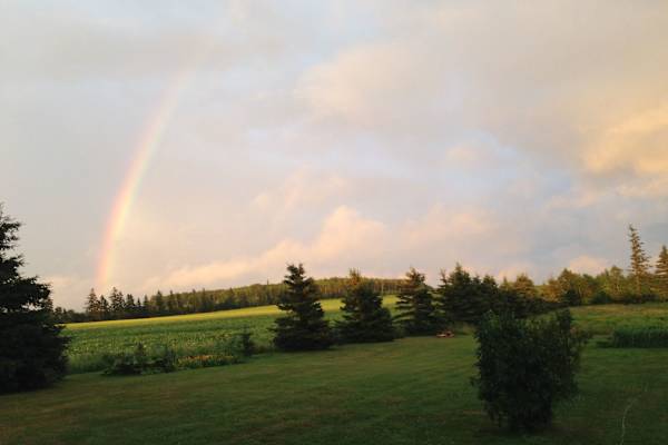 House sit in Emerald Junction, PE, Canada