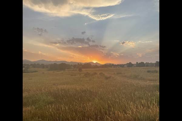 House sit in Littleton, CO, US