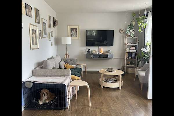 House sit in Lillooet, BC, Canada