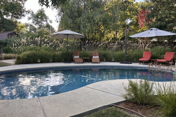 House sit in Walnut Creek, CA, US