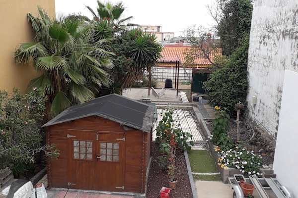 House sit in San Miguel De Abona, Spain