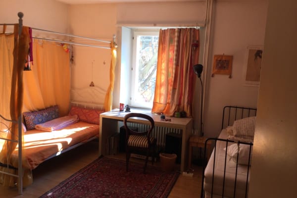 House sit in Zürich, Switzerland