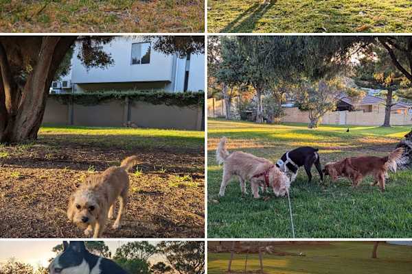 House sit in Perth, WA, Australia