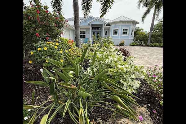 House sit in Nokomis, FL, US