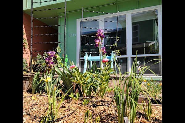 House sit in Ashland, OR, US