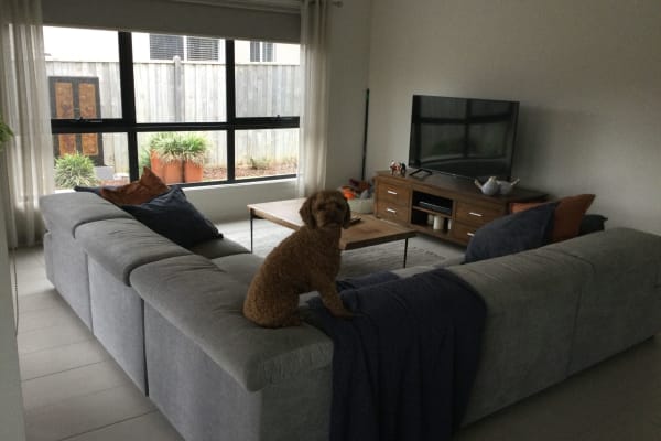 House sit in Geelong, VIC, Australia