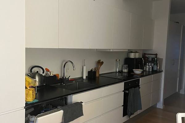 House sit in Copenhagen, Denmark