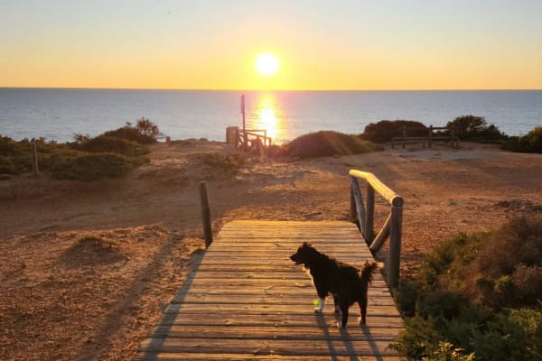 House sit in Conil de la Frontera, Spain