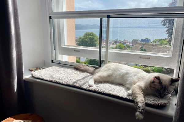 House sit in Lyme Regis, United Kingdom