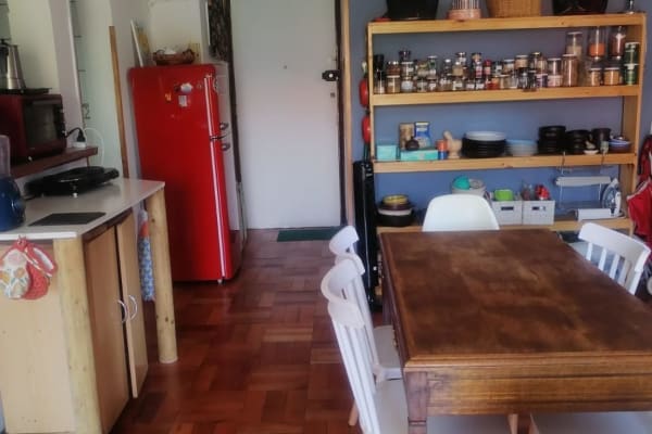 House sit in Santiago, Chile