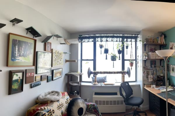 House sit in New York City, NY, US