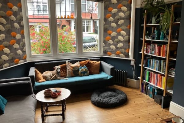 House sit in Brighton, United Kingdom