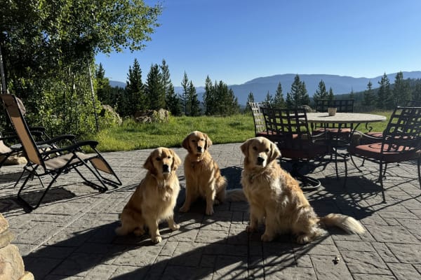 House sit in Big Sky, MT, US