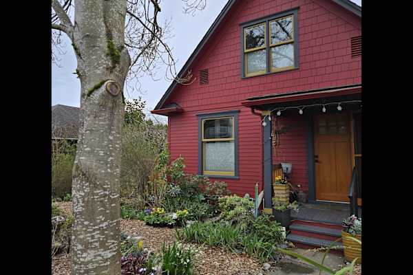 House sit in Seattle, WA, US