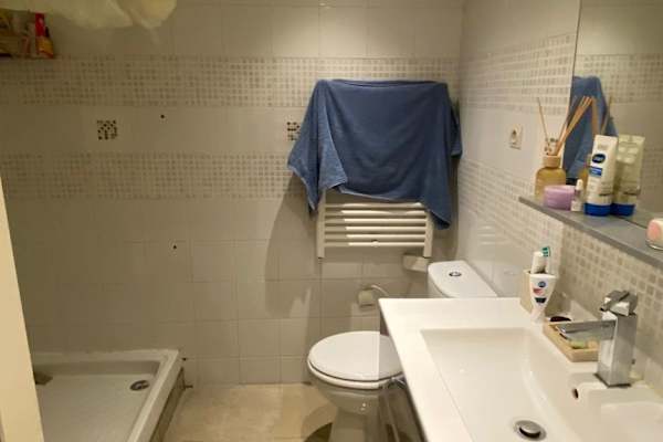 House sit in Lyon, France