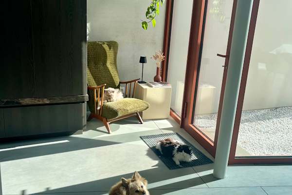 House sit in Zepperen, Belgium