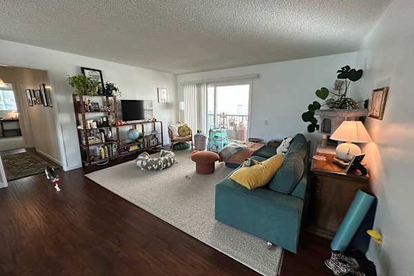 House sit in Hermosa Beach, CA, US