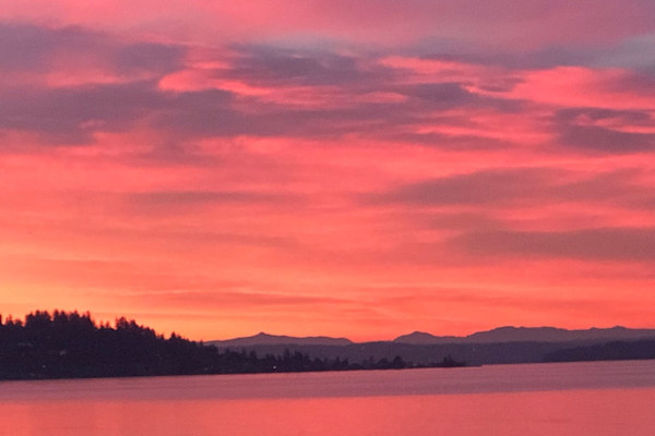 House sit in West Seattle, WA, US