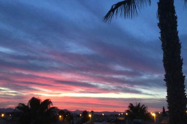 House sit in Ciudad Quesada, Spain