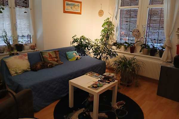 House sit in Wattwil, Switzerland