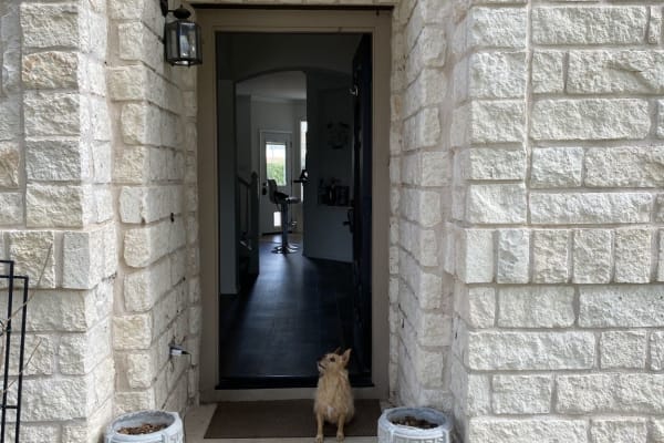 House sit in Cedar Park, TX, US