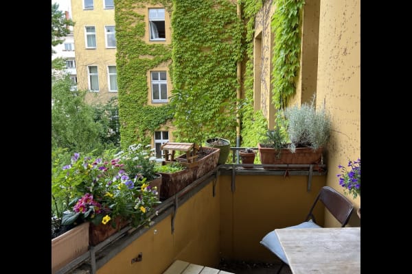 House sit in Berlin, Germany