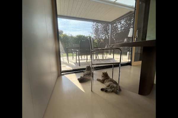 House sit in Genève, Switzerland