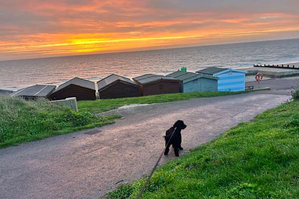 House sit in Frinton-on-Sea, United Kingdom