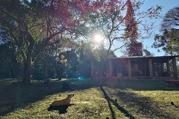 House sit in Cotia, Brazil