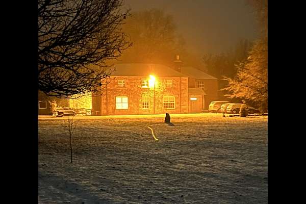 House sit in Perth, United Kingdom