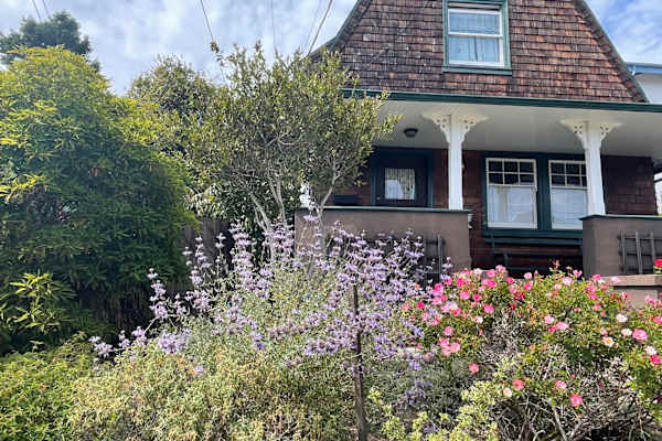 House sit in Berkeley, CA, US