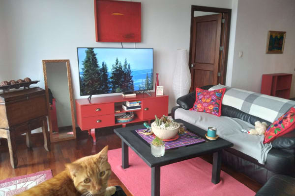 House sit in Guatemala City, Guatemala